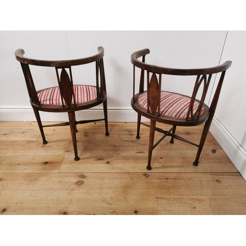 978 - Pair of Edwardian mahogany arm chairs with upholstered seats raised on tapered legs {71 cm H x 53 cm... 