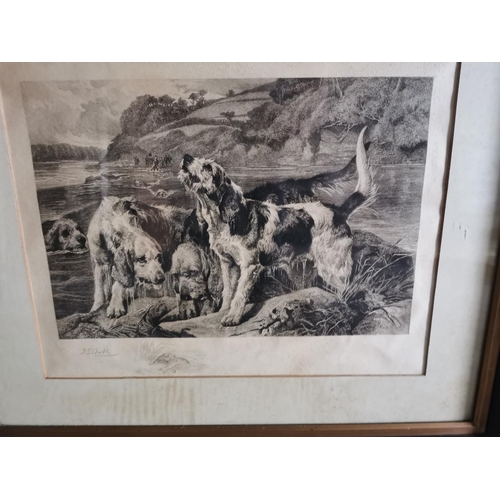 984 - Two 19th. C. black and white framed prints - Dogs { 54cm H X 64cm W } & Biblical Scene { 70cm H X 79... 