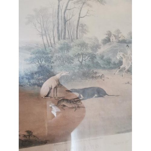 770 - 19th C. coloured Hunting print mounted in oak frame {51 cm H x 61 cm W}.