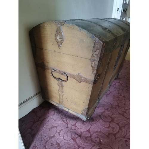 794 - 19th C. painted pine and metal bound trunk {82 cm H x 120 cm W x 62 cm D}.