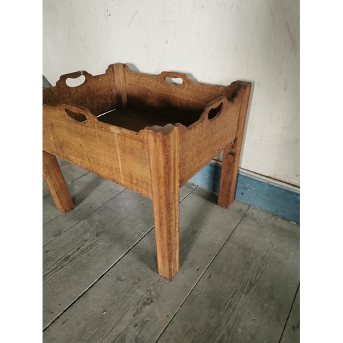 870 - Georgian mahogany bottle stand raised on square legs { 44cm H X 52cm W X 41cm D }.