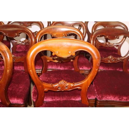 102 - Set of fourteen mahogany balloon backed dining chairs raised on turned legs { 90cm H X 50cm W X 45cm... 