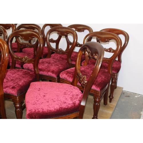 102 - Set of fourteen mahogany balloon backed dining chairs raised on turned legs { 90cm H X 50cm W X 45cm... 