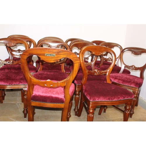 102 - Set of fourteen mahogany balloon backed dining chairs raised on turned legs { 90cm H X 50cm W X 45cm... 