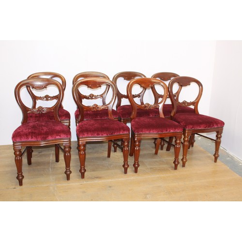 102 - Set of fourteen mahogany balloon backed dining chairs raised on turned legs { 90cm H X 50cm W X 45cm... 