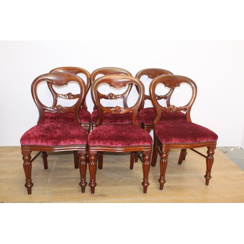 102 - Set of fourteen mahogany balloon backed dining chairs raised on turned legs { 90cm H X 50cm W X 45cm... 