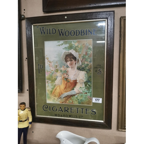 177 - Rare Wild Woodbine Cigarettes framed advertising show card {58 cm H x 45 cm W}.