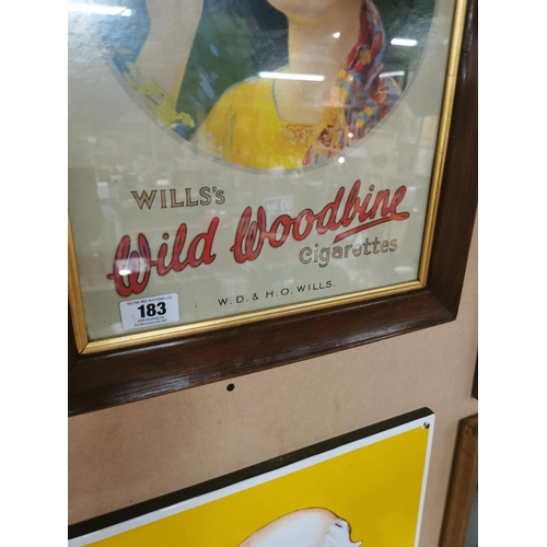 183 - Will's Wild Woodbine framed advertising show card {59 cm H x 48 cm W}.