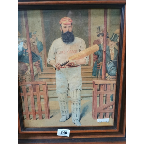 340 - W G Grace Cricketer framed coloured print . {57 cm H x 49 cm W}.