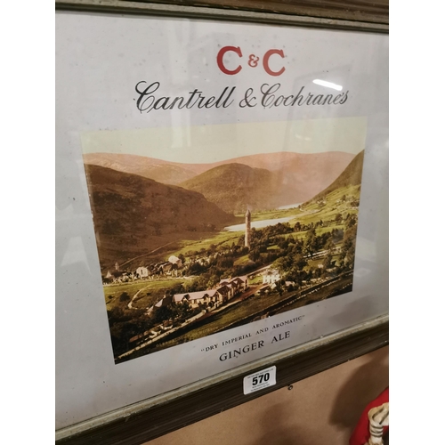 570 - Cantrell and Cochrane�s Ginger Ale Glendalough Co Wicklow framed advertising print. {47 cm H x 60 cm... 