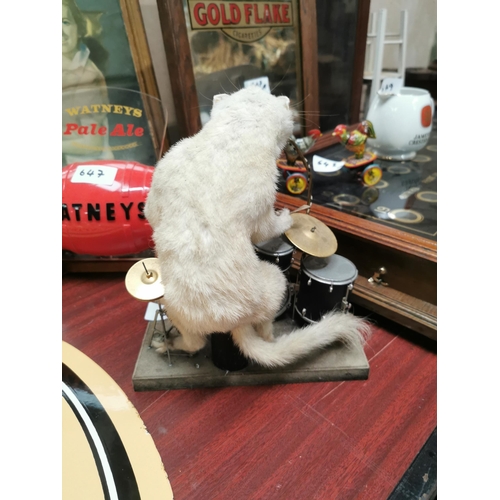 648 - Rare taxidery Weasel playing the drums. {36 cm H x 21 cm W x 16 cm D}.