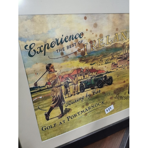 739 - Framed Experience The Best Of Ireland Jameson coloured advertising print. {63 cm H x 78 cm W}.