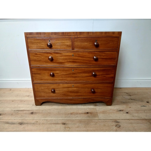3 - 19th C. mahogany bachelor chest of drawers two short drawers over three long graduated drawers raise... 