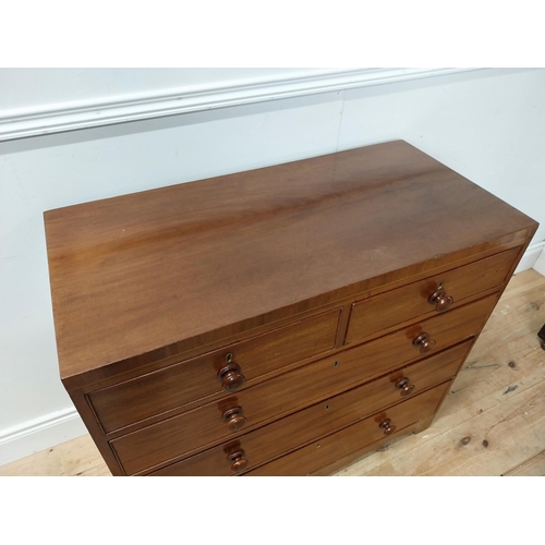 3 - 19th C. mahogany bachelor chest of drawers two short drawers over three long graduated drawers raise... 