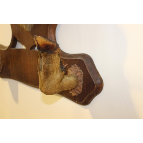 8 - Taxidermy deer's head mounted on an oak coat rack {90 cm H x 60 cm W x 46 cm D}.