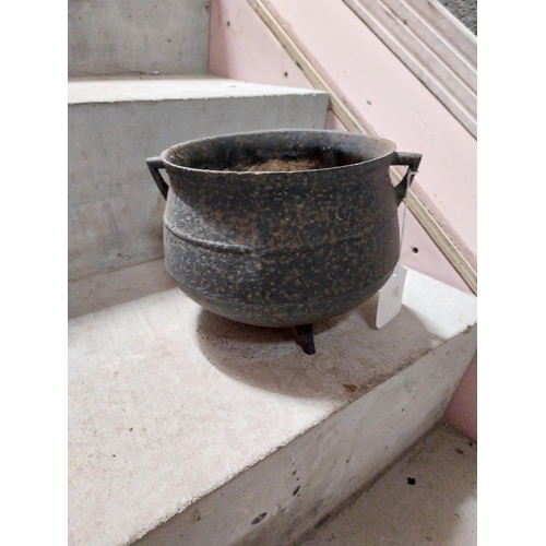 1292 - 19th C. cast iron pot. { 14cm H X 18cm Dia }