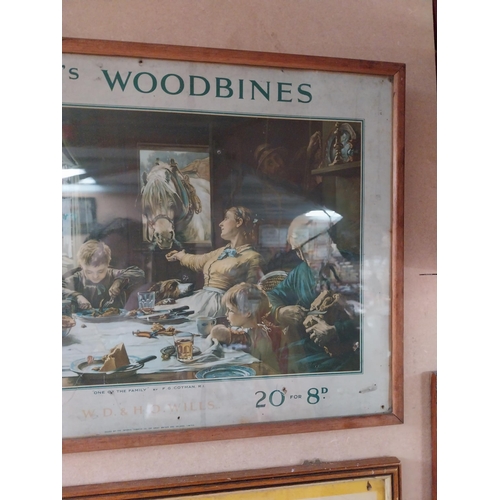 131 - Will�s woodbine framed advertising showcard {38cm H x 53cm W}