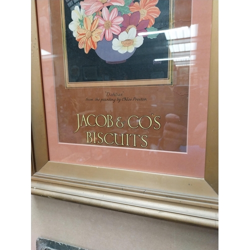 257A - Jacob's and Co Biscuits framed advertising showcard. {55 cm H x 33 cm W}.