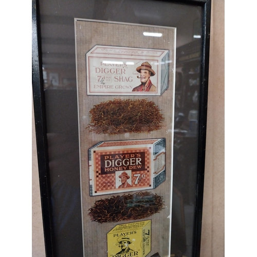 292 - Rare Player's Digger Shag framed advertising show card {38 cm H x 20 cm W}.