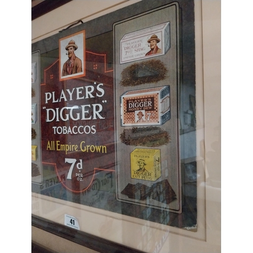41 - Rare Player's Digger Tobaccos pictorial framed advertising show card {54 cm H x 69 cm W}.