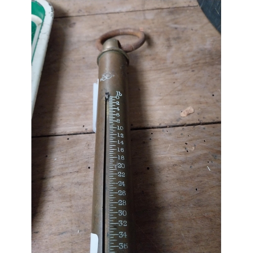 738 - Brass fowling scales. {40 cm L}.