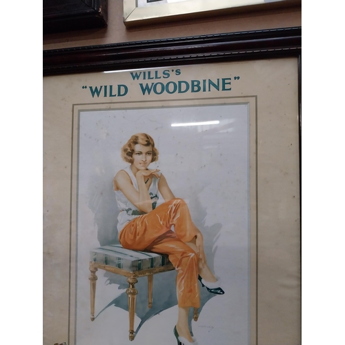 78 - Will�s woodbine advertising showcard in original mahogany frame {57cm H x44cm W}.