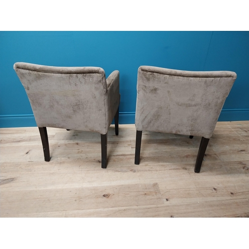 129 - Pair of good quality restaurant armchairs with crushed velvet upholstery raised on mahogany square t... 