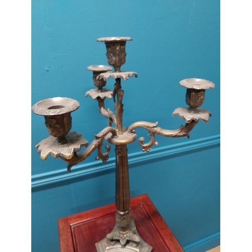 183 - Good quality brass candelabra on Corinthian column {55 cm H x 33 cm Dia.}.