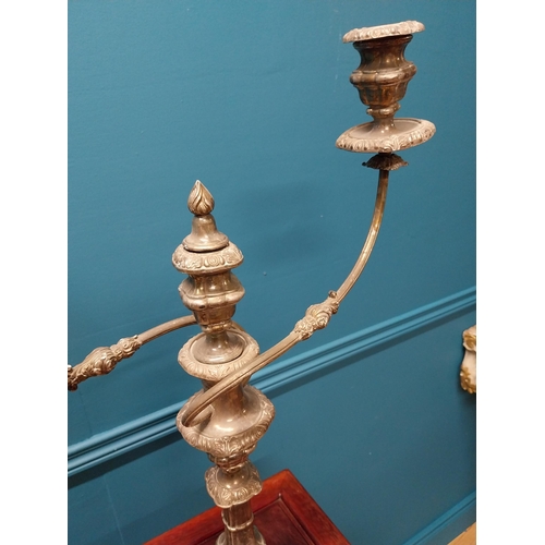 184 - 19th C. silverplated candelabra {61 cm H x 48 cm W x 15 cm D}.