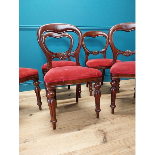 361 - Set of eight mahogany balloon backed dining chairs with upholstered seats raised on reeded legs in t... 