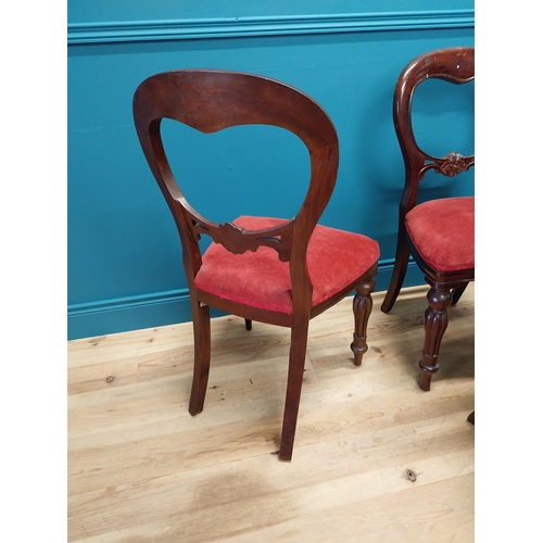 361 - Set of eight mahogany balloon backed dining chairs with upholstered seats raised on reeded legs in t... 