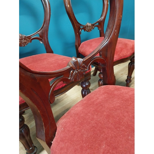 361 - Set of eight mahogany balloon backed dining chairs with upholstered seats raised on reeded legs in t... 