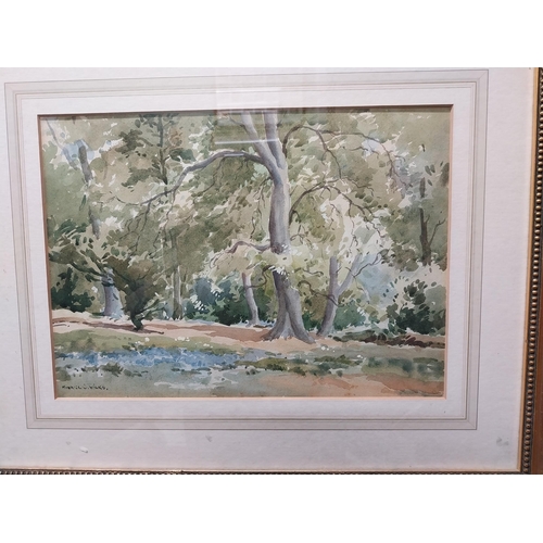 375 - Pair of Maurice C Wilkes Woodland Scene watercolours mounted in gilt frames {49 cm H x 59 cm W}.