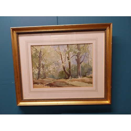 375 - Pair of Maurice C Wilkes Woodland Scene watercolours mounted in gilt frames {49 cm H x 59 cm W}.