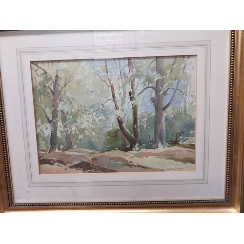 375 - Pair of Maurice C Wilkes Woodland Scene watercolours mounted in gilt frames {49 cm H x 59 cm W}.