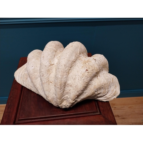 42 - 19th C. giant clam Tridacna shell {18 cm H x 40 cm W x 24 cm W}.