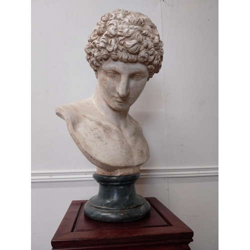 64 - 19th C. Grand Tour plaster bust of Antonius. {61 cm H x 37 cm W x 34 cm D}.