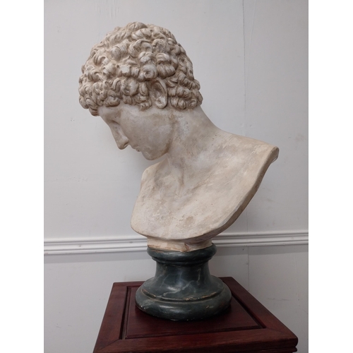 64 - 19th C. Grand Tour plaster bust of Antonius. {61 cm H x 37 cm W x 34 cm D}.