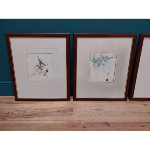 74 - Good quality set of six Botanical prints mounted in mahogany and gilded frames {57 cm H x 48 cm W}.