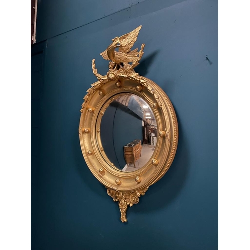106 - 19th. C. gilt convex wall mirror surmounted with a Hoho bird and foliage. { 90 cm H X 56 cm W  }.