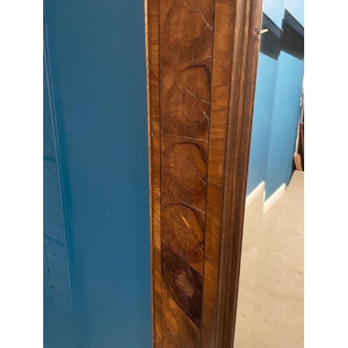 210A - An oyster veneered wall mirror with bevelled edged plate.  { 116 cm H X 100 cm W  }.