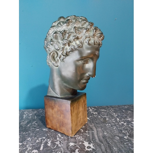 24 - Good quality early 20th C. Grand Tour bronzed plaster head {50 cm H x 25 cm W x 28 cm D}.