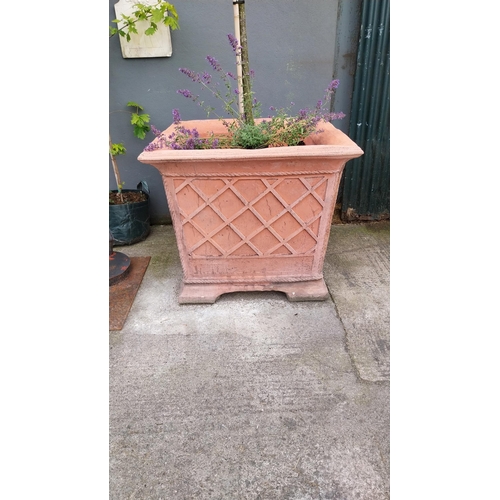 41 - Pair of good quality moulded terracotta tree planters including trees {Planter 85 cm H x 98 cm W x 9... 