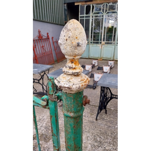 47 - Pair of 19th C. cast iron gate posts and matching gates {170 cm H x 194 cm W x 20 cm D}.