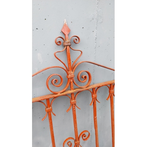 58 - Pair of 19th C. wrought iron entrance gates {132 cm H x 110 cm W}.