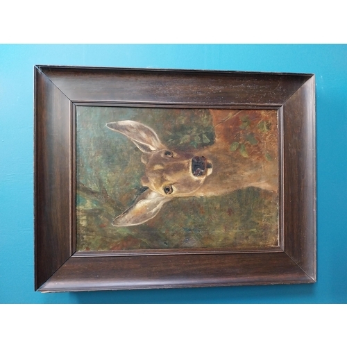 288 - 19th C. oil on canvas The Stag mounted in oak frame {68 cm H x 53 cm W}.