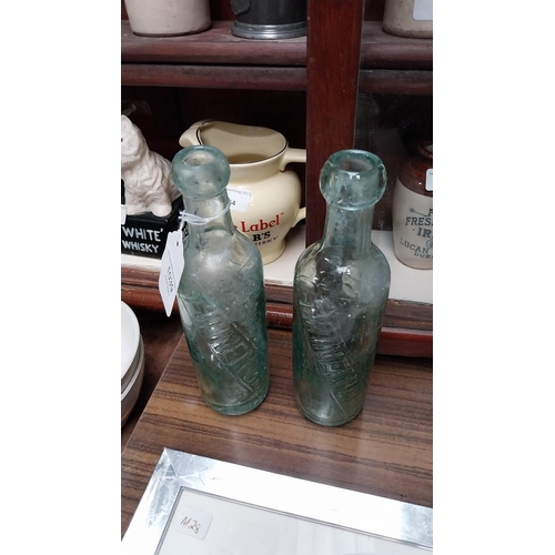 1039 - Two 19th C. Twinems of Dublin blop top bottles. {23 cm H}