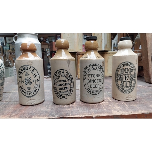 1051 - Four 19th C. stoneware ginger beer bottles - Whitehead and Denbigh, Strange and Co, North and Co Ltd... 