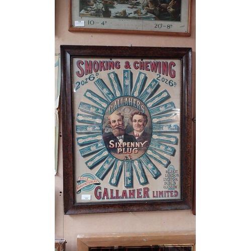 131 - Smoking & Chewing Gallaher's Six Penny Plug pictorial framed advertising print {70 cm H x 55 cm W}.