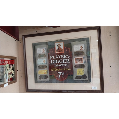 36 - Rare Player's Digger Tobaccos pictorial framed advertising show card {54 cm H x 69 cm W}.